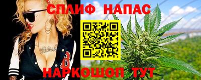 молекула духа Кингисепп