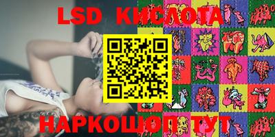 молекула духа Кингисепп