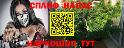молекула духа Кингисепп